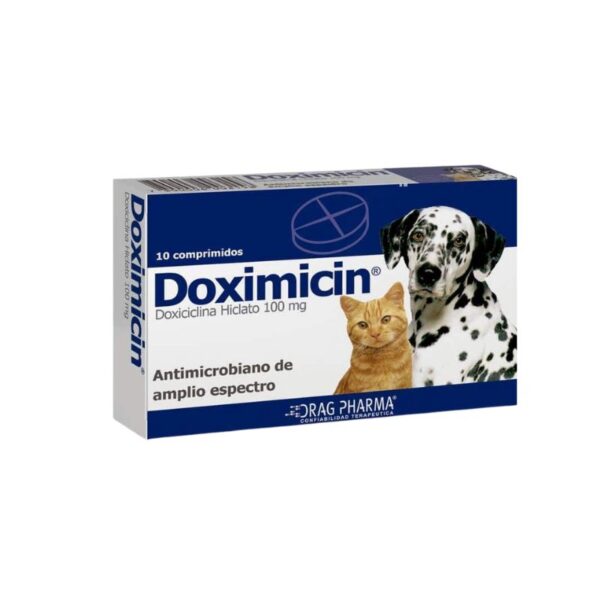 Doximicin Comprimido es un antimicrobiano de amplio espectro especialmente formulado para el tratamiento de una variedad de infecciones bacterianas en perros y gatos. Este medicamento en forma de comprimidos ofrece una solución efectiva para combatir patógenos susceptibles a la Doxiciclina, proporcionando una opción confiable y conveniente para mantener la salud de tus mascotas. La Doxiciclina Hiclato, el principio activo de este comprimido, es conocida por su eficacia en el tratamiento de infecciones del tracto respiratorio, piel, ojos, y más, lo que lo convierte en una herramienta valiosa en el cuidado veterinario.