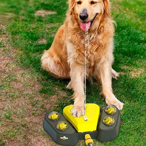 juego de agua para perro bebedero