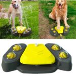 Juguete de Agua para Perro