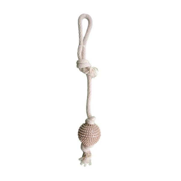 La Pelota con Cuerda para Perros es el juguete ideal para mantener a tu mascota activa y entretenida mientras fomenta un ejercicio saludable y estimulante. Este juguete combina una robusta pelota de goma con una cuerda de nailon resistente de 43 cm de longitud, proporcionando horas de diversión para tu perro. La pelota está diseñada con púas para un mejor agarre y para promover una buena salud dental, mientras que la cuerda, de color beige y con un bucle antideslizante, facilita el juego interactivo entre tú y tu mascota. La Pelota con Cuerda para Perro es perfecta para jugar al tira y afloja, lanzar y traer, y otras actividades que ayudan a mantener a tu perro en forma y feliz.