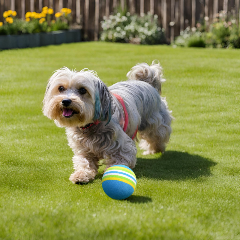 Pelota Cuerda para Perros - Animal Lovers Tienda de Mascotas Y Farmacia  Veterinaria