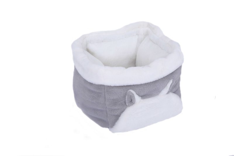 5D4_9337-scaled-1-1.jpg 5D4 9337 scaled 1 1