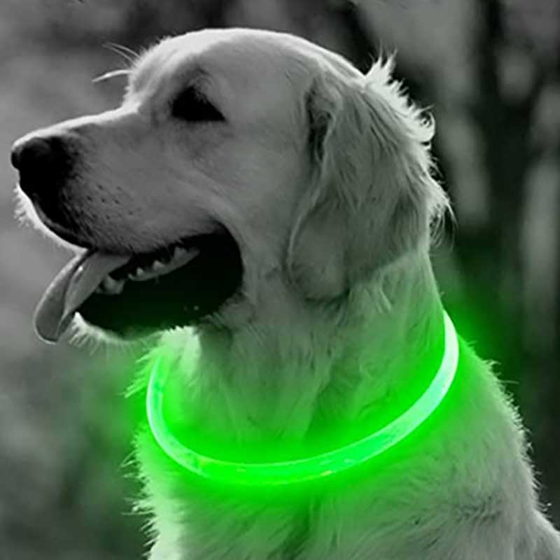 7807663001872-2-1.jpg 7807663001872 2 1