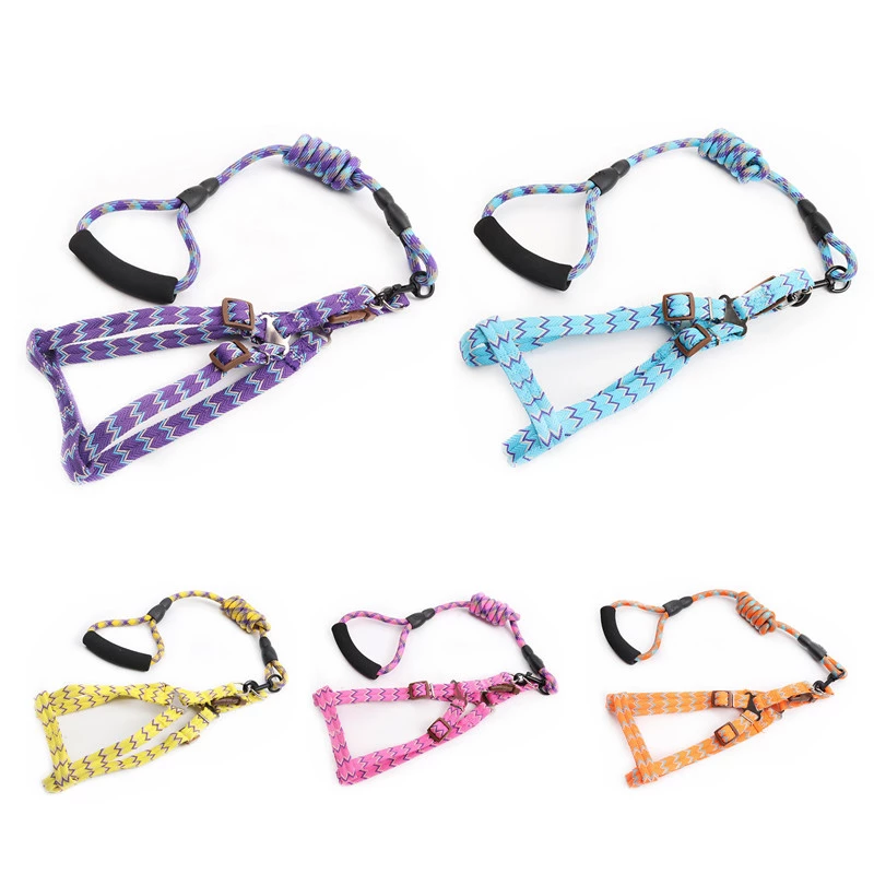 Arn s de nailon a rayas para perro conjunto de correa ajustable para caminar Collar de.jpg Q90.jpg 2