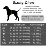 Arn s personalizado para perro chaleco reflectante ajustable sin tirones para mascotas para perros peque os 1.jpg Q90 1.jpg 1