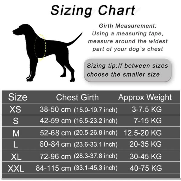 Arn s personalizado para perro chaleco reflectante ajustable sin tirones para mascotas para perros peque os 1.jpg Q90 1.jpg 1