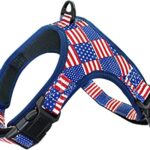 Arnes y con breoche seguridad6 1