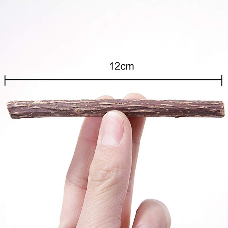 Barracatnip-5-1.jpg Barracatnip 5 1