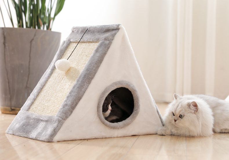 Casa-piramide3-1.jpg Casa piramide3 1