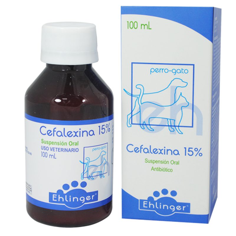 Cefalexina 1