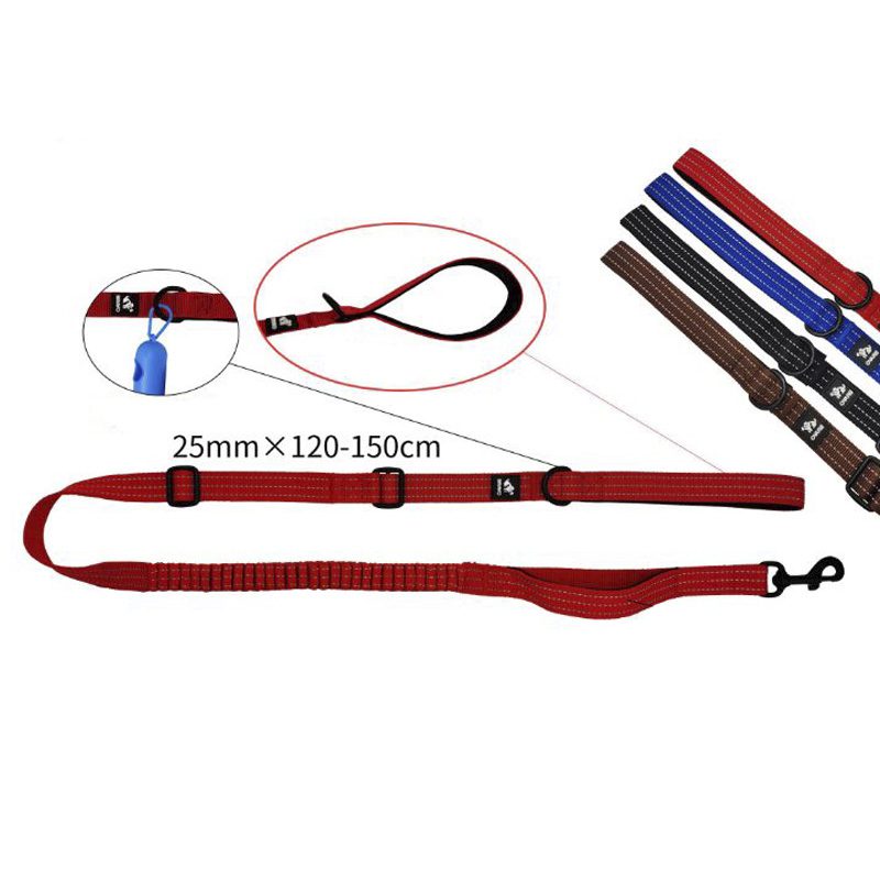 Correa-Larga-de-Paseo-con-Elastico-1.jpg Correa Larga de Paseo con Elastico 1