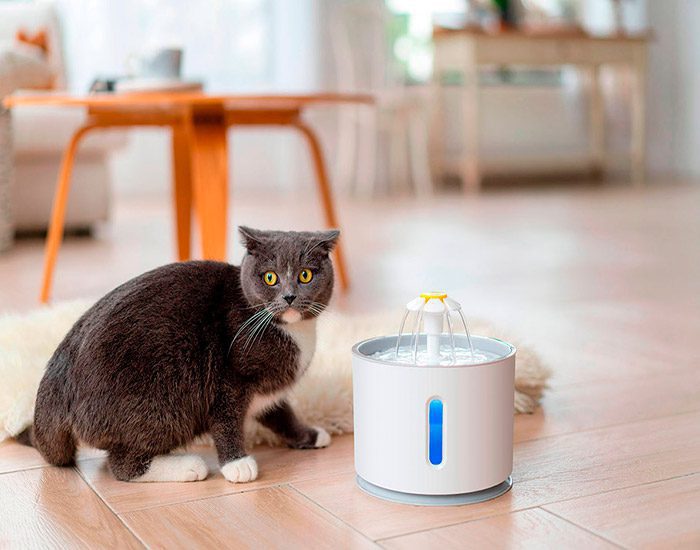 Fuente para gatos agua 3 lts. - Animal Lovers Tienda de Mascotas Y Farmacia  Veterinaria