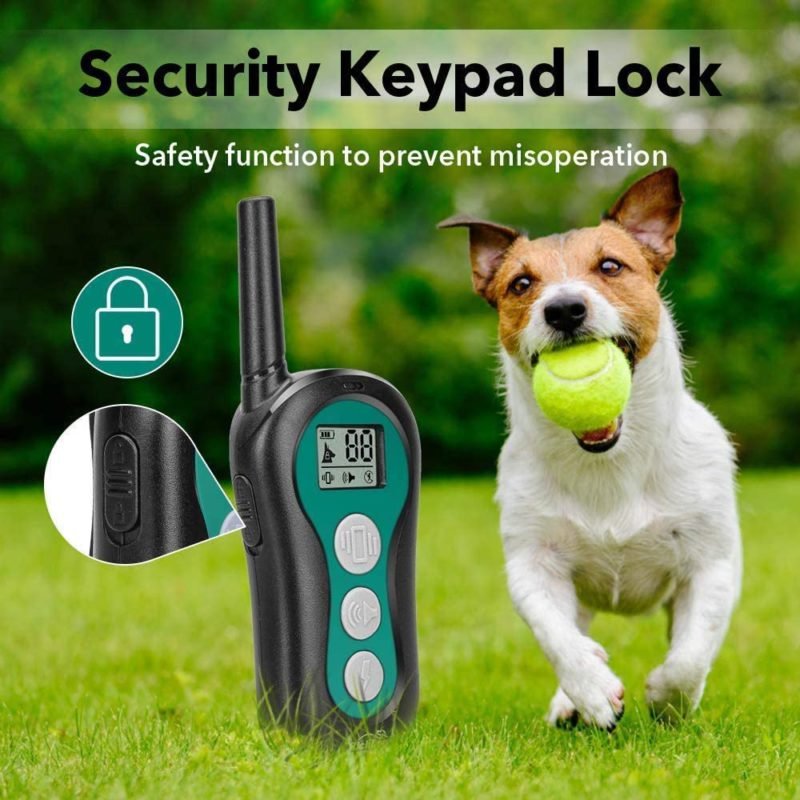 IT118-3-1.jpg IT118 3 1