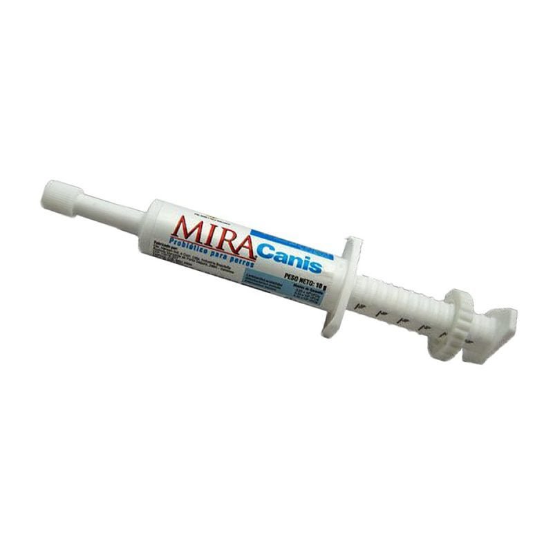 Mira-canis-1-1.jpg Mira canis 1 1