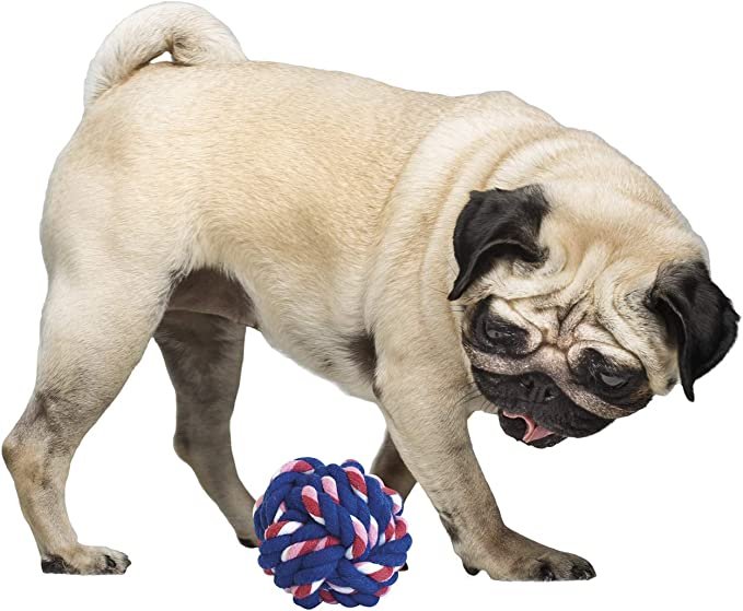 Pelota-para-perro-algodon6-1.jpg Pelota para perro algodon6 1