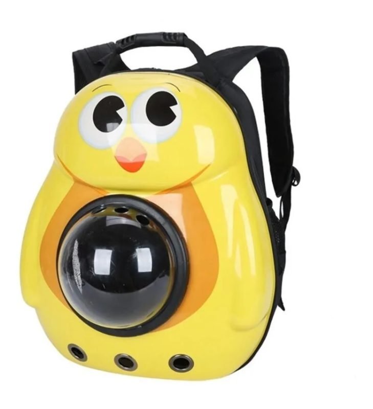 Pollo-1-1.jpg Pollo 1 1