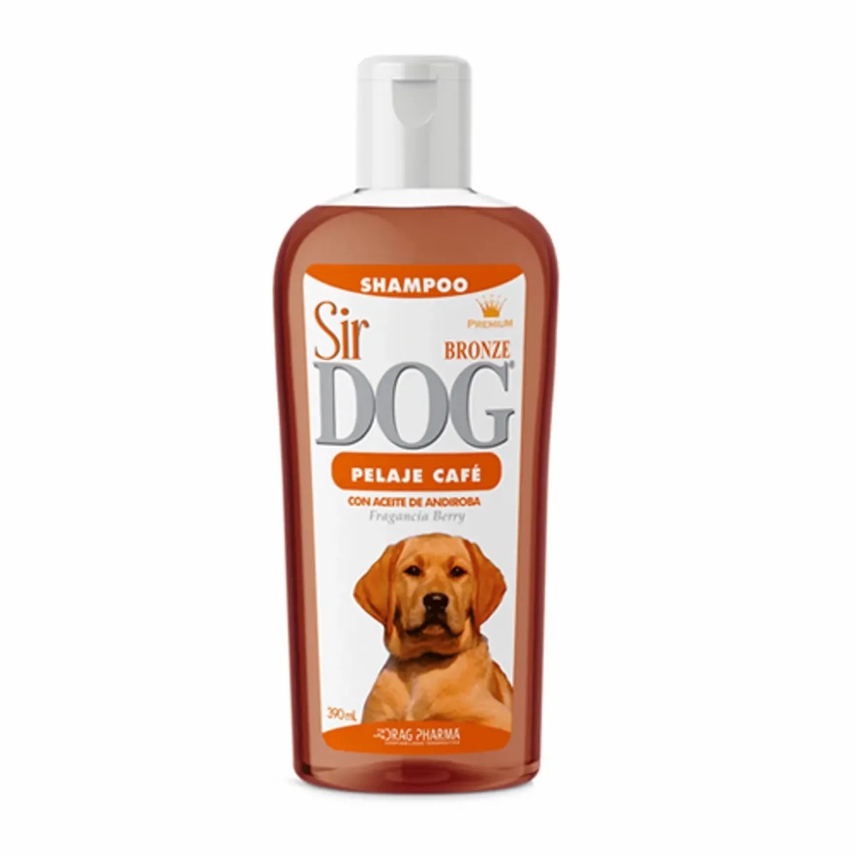 XjJSMKMm3ZoXy7YTr-1200-1200-1.webp XjJSMKMm3ZoXy7YTr 1200 1200 1