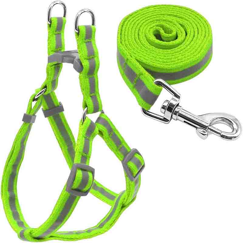 arnes reflectante correa plama verde 1