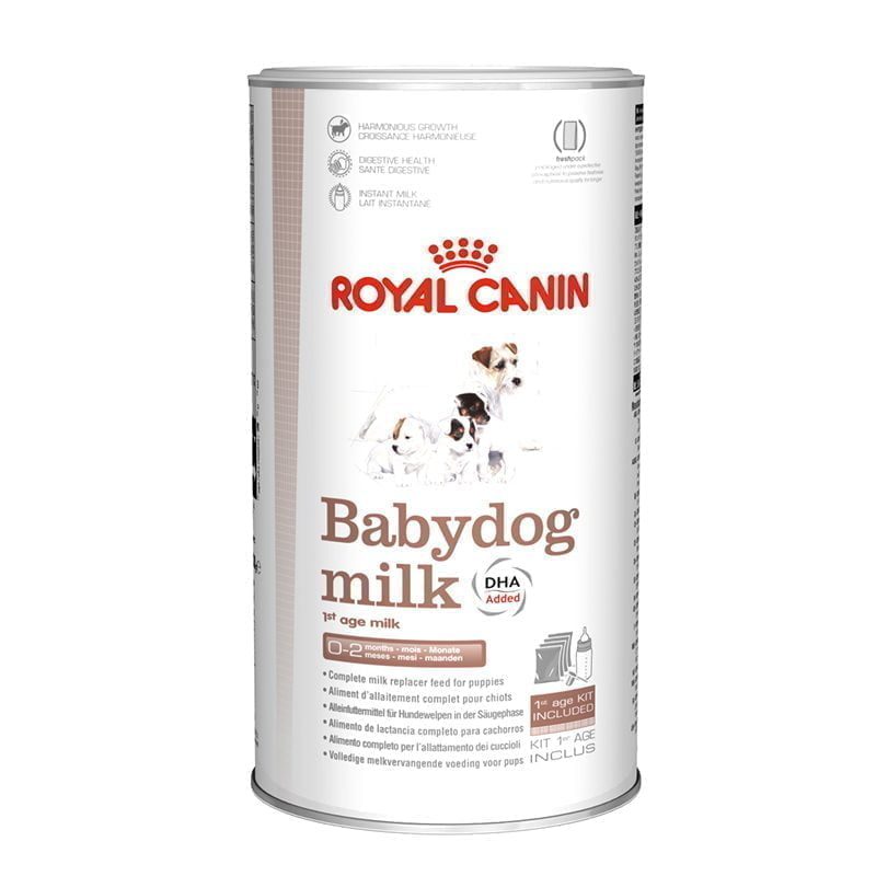 babydog milk 1