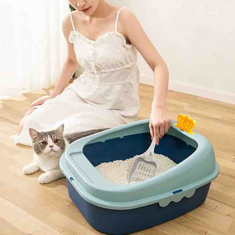 caja-arena-corona-celeste-1.jpg caja arena corona celeste 1