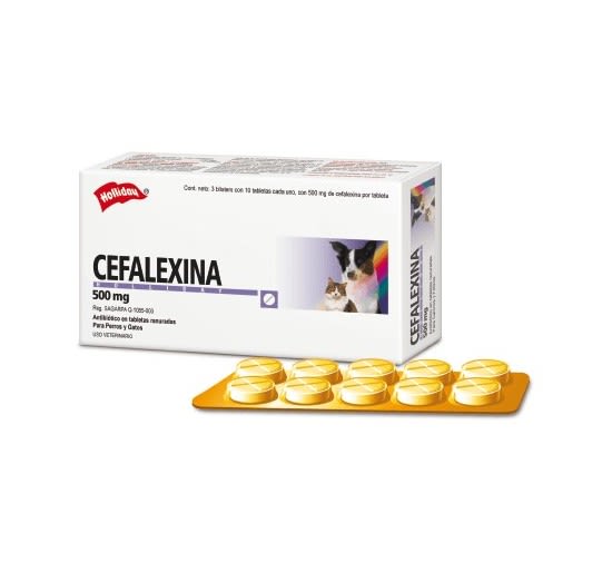 cefalexina 500mg comprimidos9208 1