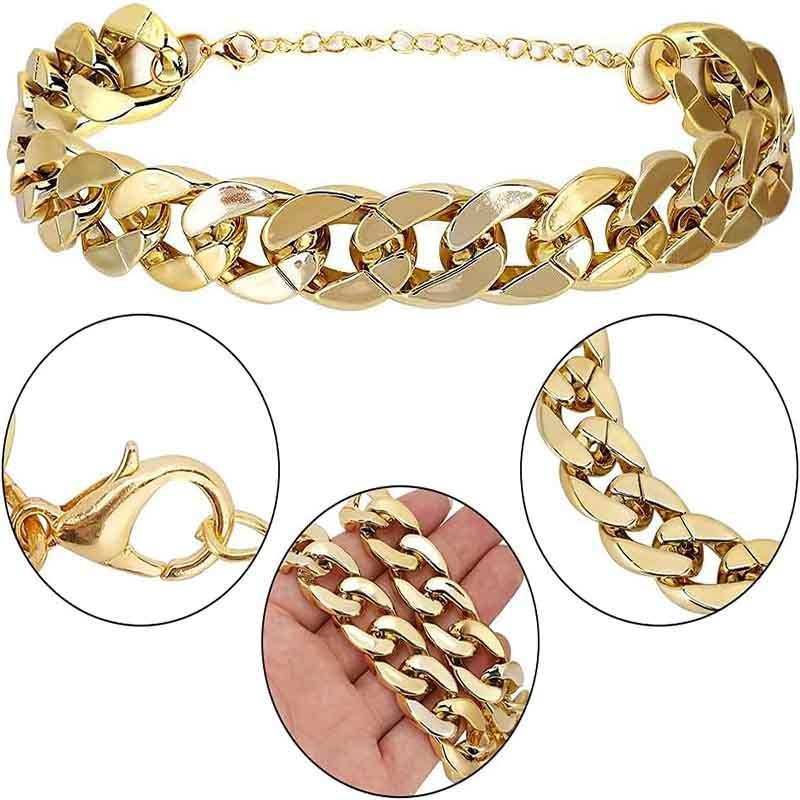 coolar mascota dorado 2 1