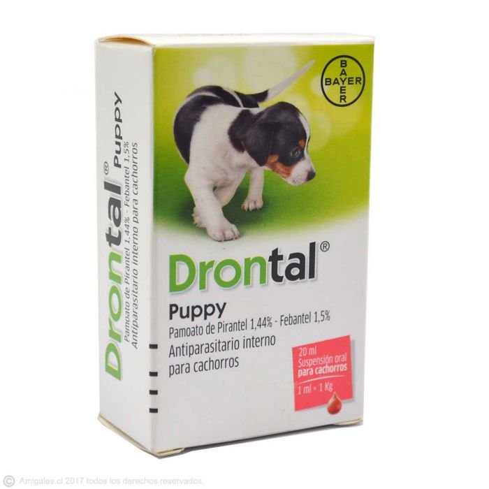 drontalpuppy1-1.jpg drontalpuppy1 1