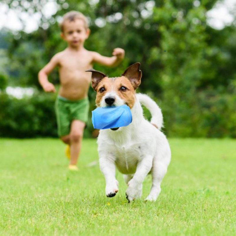 juguetes-mascotas.jpeg El Juguetes Mascotas Morderdor para Perro lata de goma con forma de lata de bebida soda estimula la diversión. Ayuda a tu perro a luchar contra el aburrimiento y a mantenerse ocupado mientras estás fuera. El juguete de perros mordedor es para perros de todas las edades y tamaños. Colores disponibles: Celeste y Rosa.
