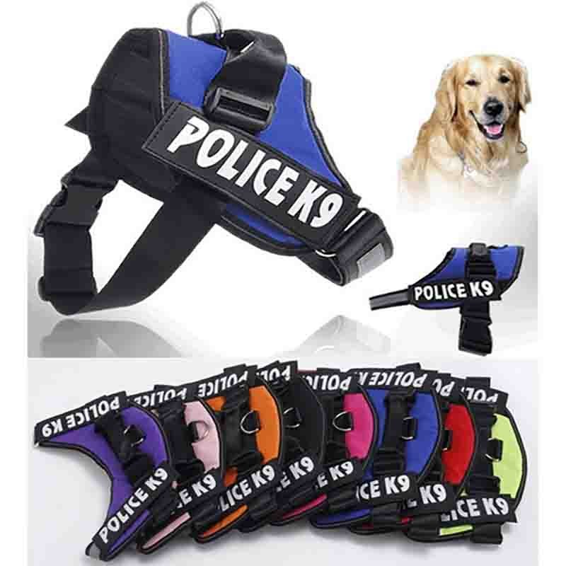 k9-colores-1.jpg k9 colores 1