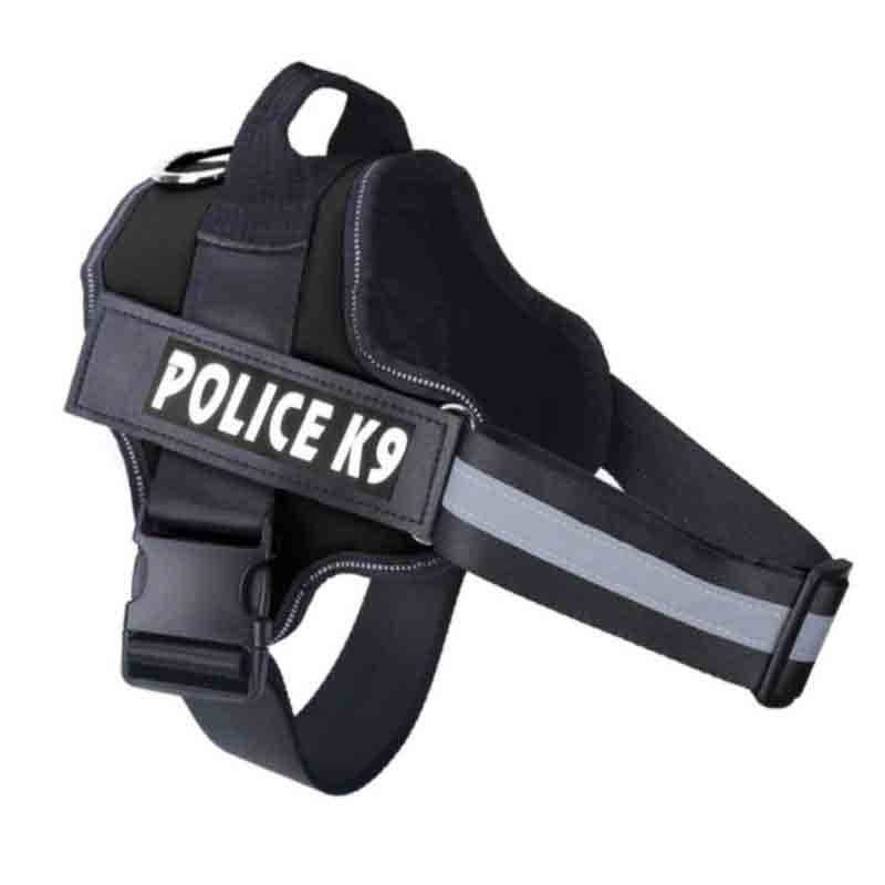 k9-negro-1.jpg k9 negro 1