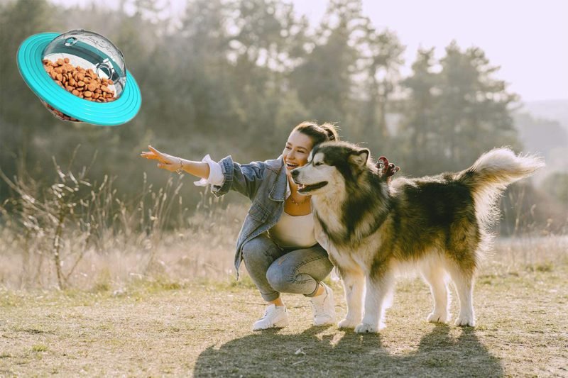 ovni-5-1.jpg ovni 5 1