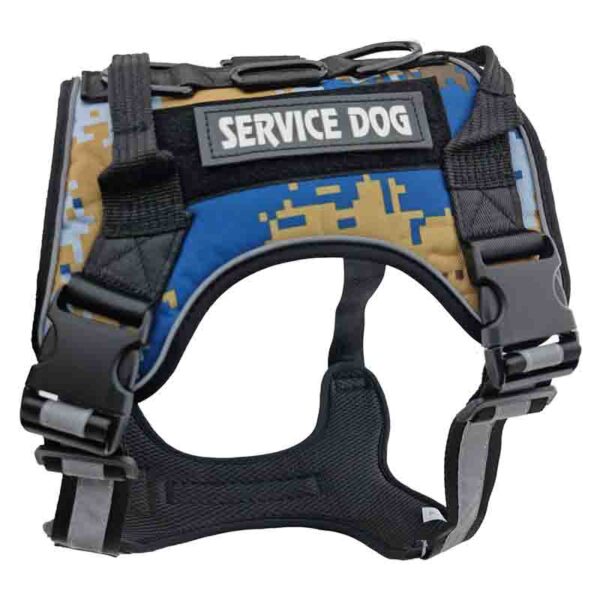 service dog azul 3