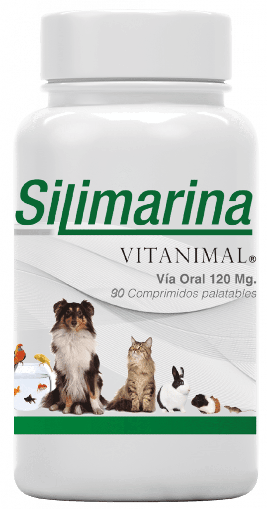 silimavet90comprimidos4 1
