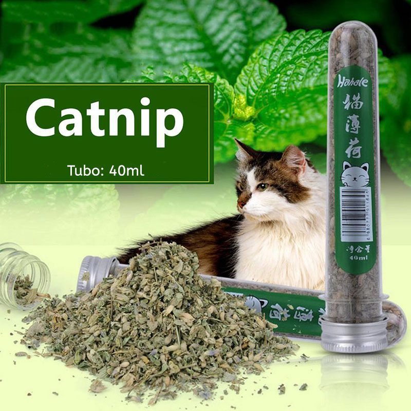 tubo-catnip-5-1.jpg tubo catnip 5 1