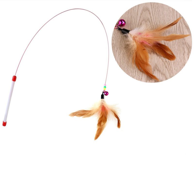 varapluma4-1.jpg varapluma4 1