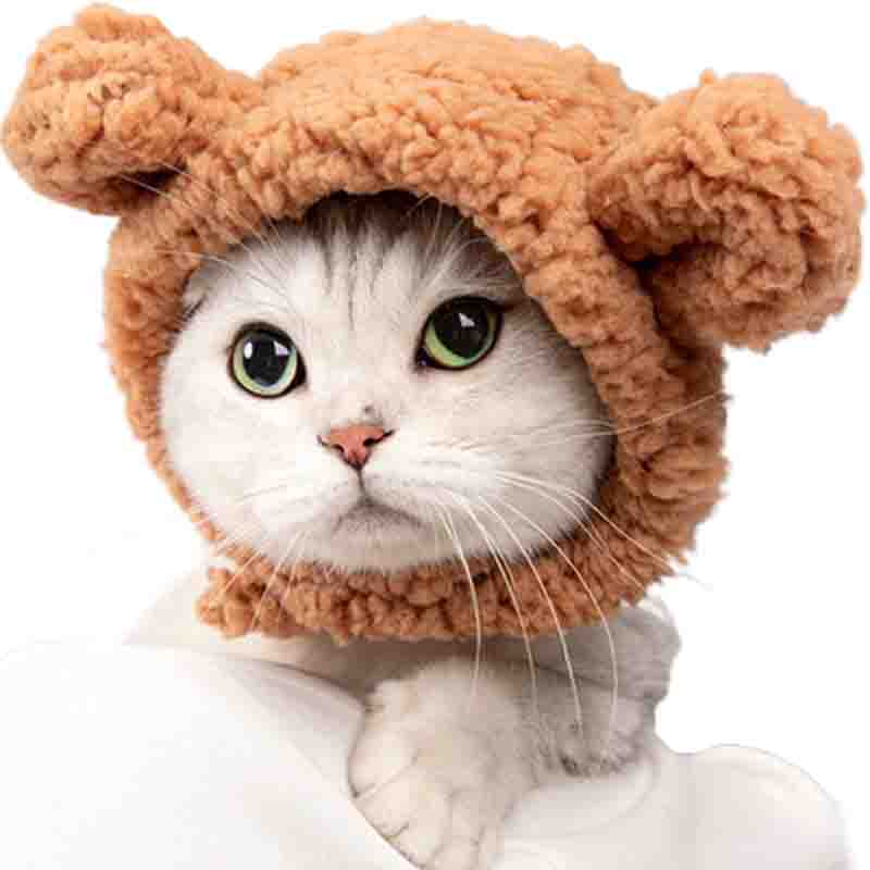 61axzUR1bpL._AC_SL1500_