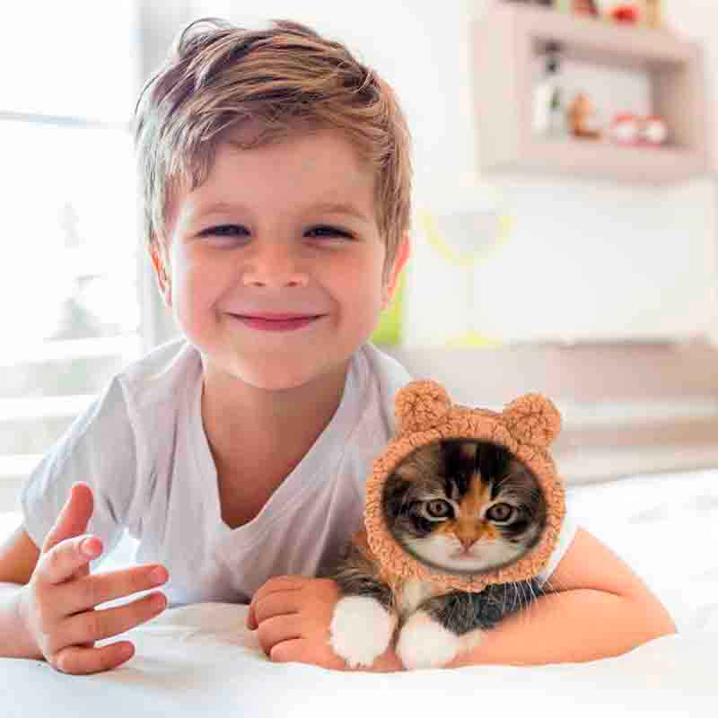 gorro-gato-osos4 gorro gato osos4