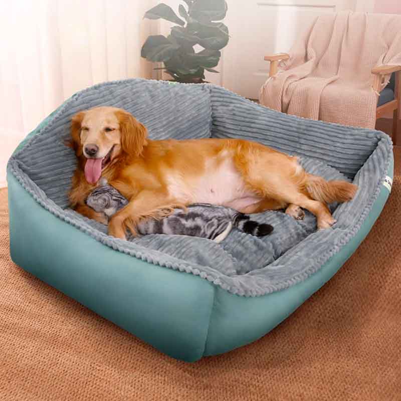 Cama Antiestrés Perros XL, grande espaciosa, cotelon durable