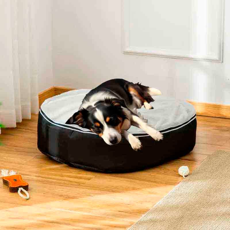 cama elevada para perros , una cama ovalada que sera el deleite de tu mascota