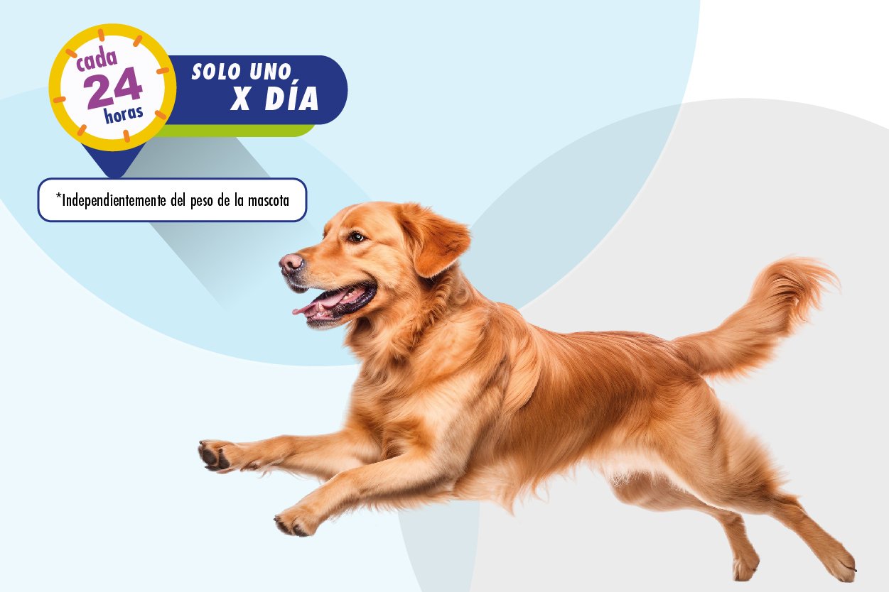 Suplemento-alimenticio-para-perros-Flexadin para la artrosis. Suplemento alimenticio para perros para la artrosis.