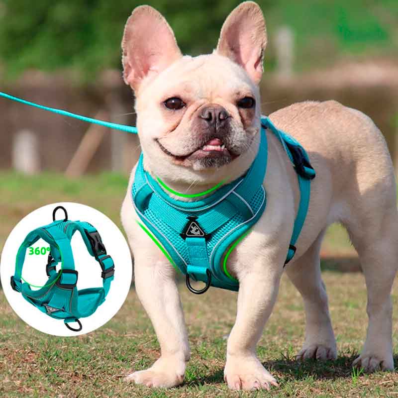 Arnés para Perros Raza Pequeña Talla XL ha sido diseñado con características técnicas de vanguardia para brindar la máxima comodidad y seguridad durante los paseos diarios. Con una combinación de materiales de alta calidad y un diseño meticuloso, este arnés es la opción ideal para perros medianos que necesitan un ajuste cómodo y seguro.