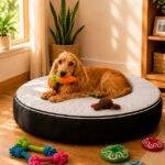Cama redonda para perro mediano con cocker spaniel descansando y juguetes en ambiente hogareño