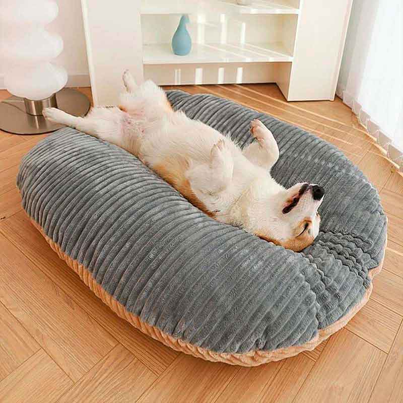 Colchón-circular-gris-7-5 Colchon circular gris 7 5