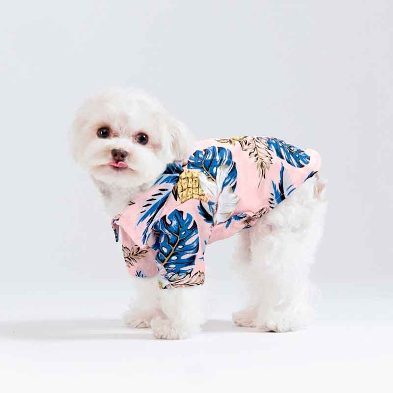 Guayabera-perro-rosa-7-4 Guayabera perro rosa 7 4