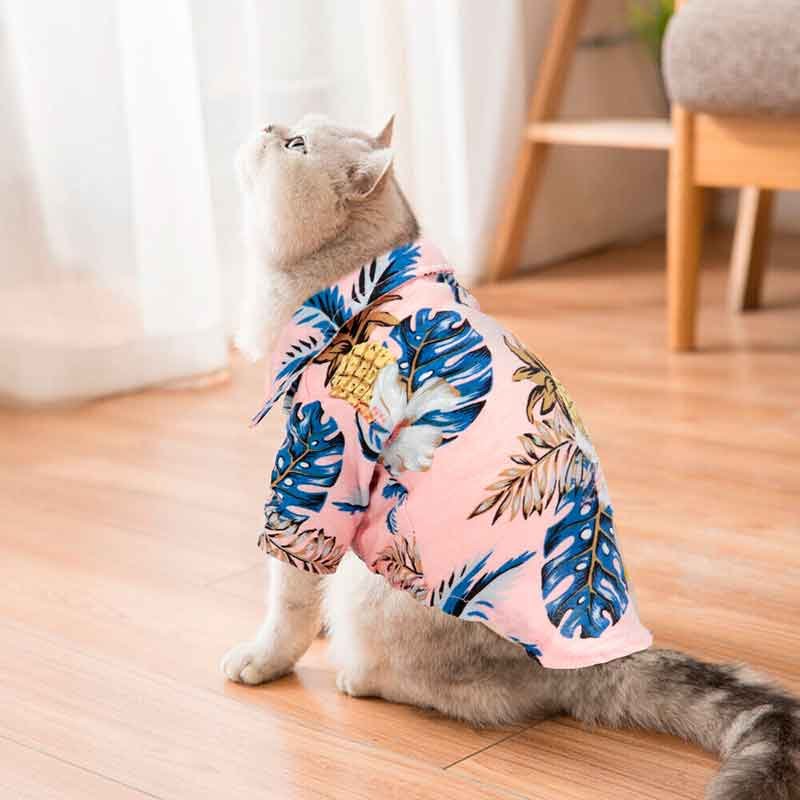 Guayabera-perro-rosa-7-5 Guayabera perro rosa 7 5