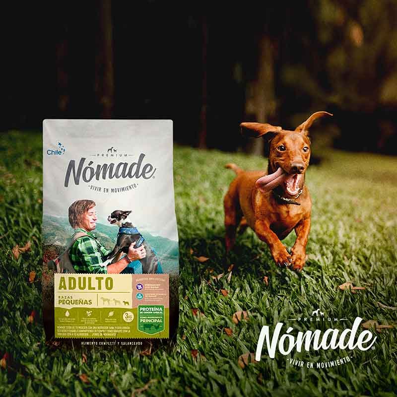 NOMADE raza pequena 7 5