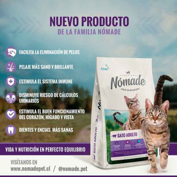 Nomade Gato 7 3