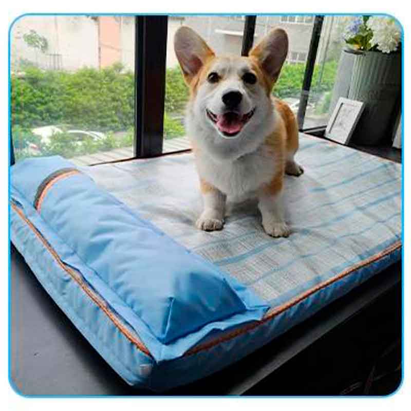 Colchón para perro con almohada Talla L – Hoopet. Espuma de alta densidad, superficie suave y diseño ergonómico. Ideal para perros medianos y grandes. ¡Cómpralo en Animal Lovers Chile! Hoopet emerge como una solución innovadora para proporcionar a tu fiel compañero un lugar de descanso cómodo y acogedor. Diseñado con materiales de alta calidad y atención meticulosa a los detalles