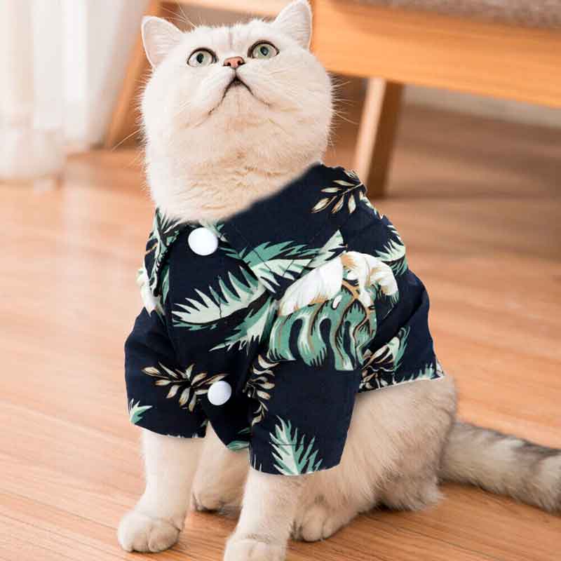 guayabera-perro-azul-palmera-7-3 guayabera perro azul palmera 7 3