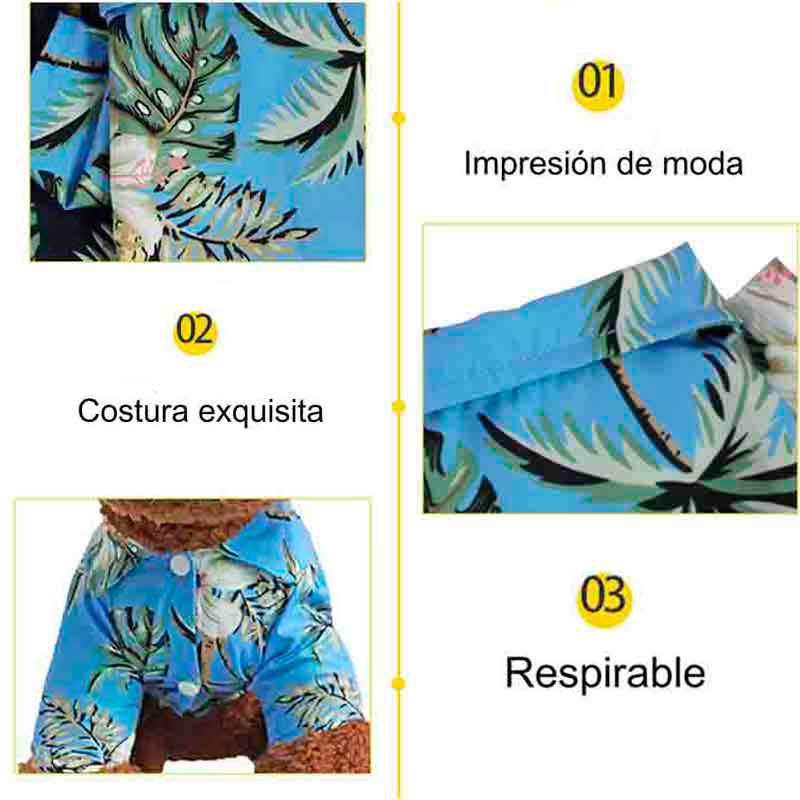 guayabera-perro-celeste-7-1 guayabera perro celeste 7 1